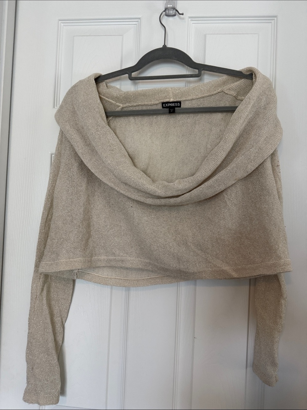 Express Metallic Cowl Neck Sweater in Beige